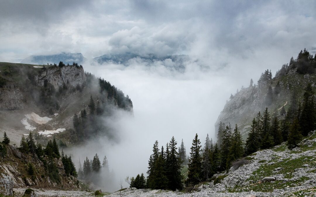 Photo of foggy ridgeline